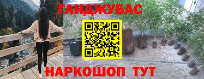 Альфа ПВП Севастополь