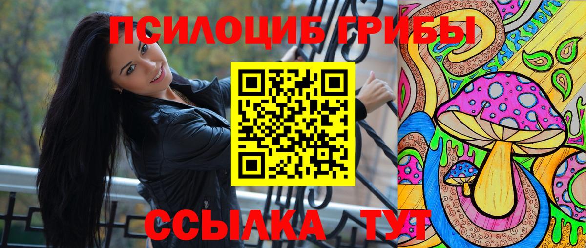 Галлюциногенные грибы Psilocybe  Вход с VPN  Белая Калитва 